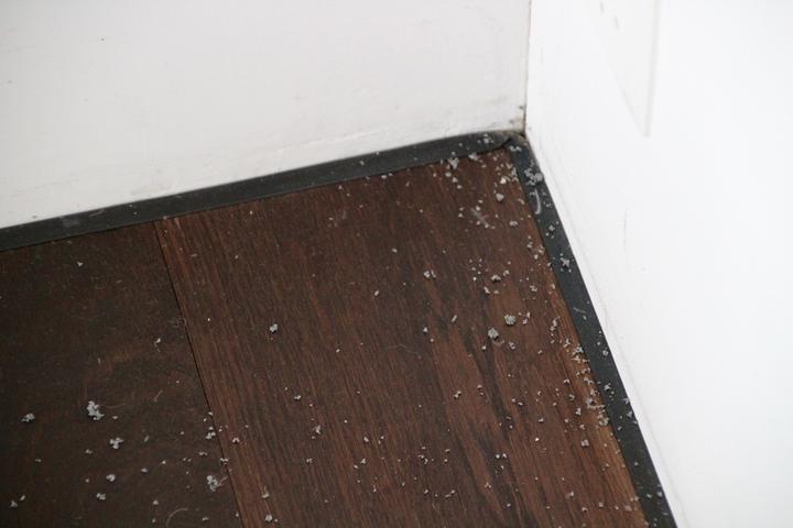 <p>Die Wespen, die draussen im Storenkasten nisten, haben auch im Haus Spuren hinterlassen.</p>