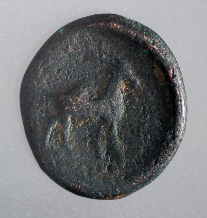 <p>Diese seltene Bronzemünze aus der griechischen Stadt Aigai datiert ins 2./1. Jahrhundert v. Chr. und wurde im Jahr 2009 bei Gartenarbeiten in Cham zufälligerweise entdeckt.</p>