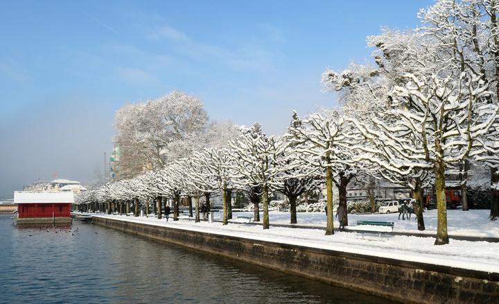 <p>Die Bäume am Quai sind allesamt gezuckert mit Schnee. Bild: Walter Buholzer</p>
