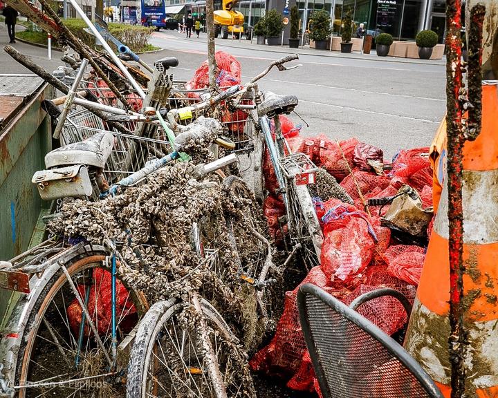 <p>Unter den 1.5 Tonnen Abfall waren fünf Fahrräder. Bild: Flossen & Flipflopps</p>