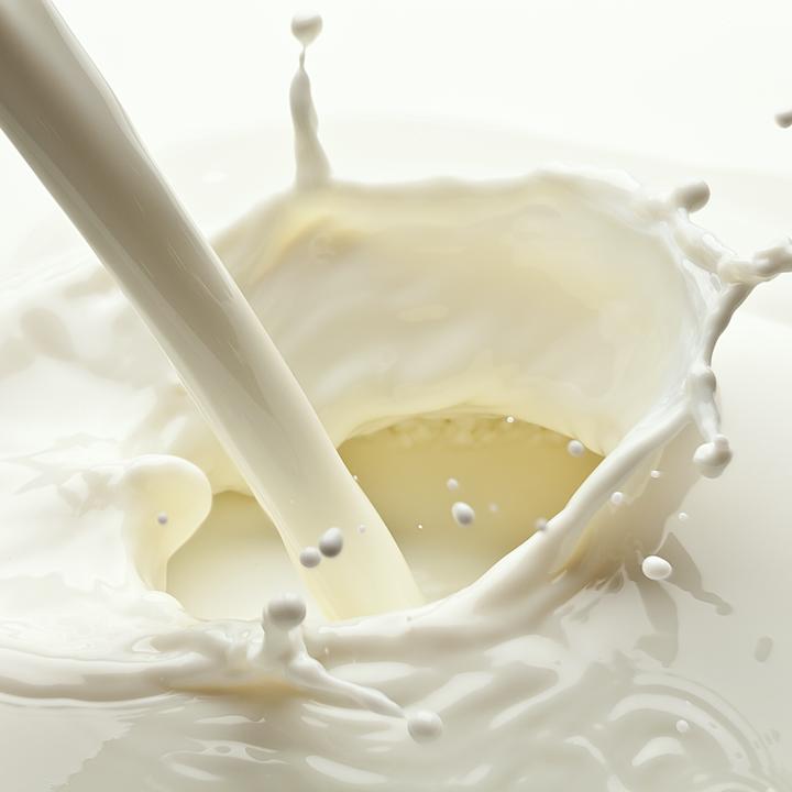 1000 Liter Milch im Bach: Bauer stellt sich selbst