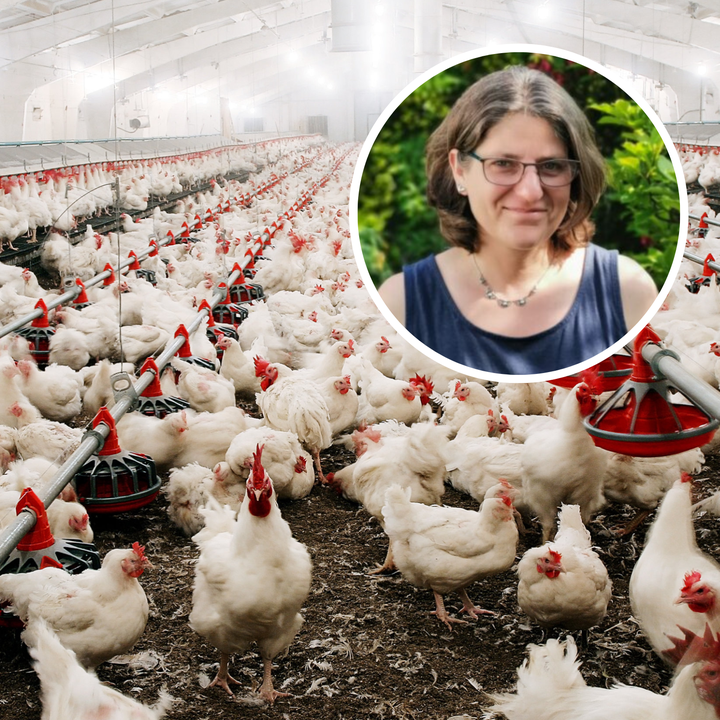 «Bin erleichtert»: Hühnerstall scheitert vor Bundesgericht