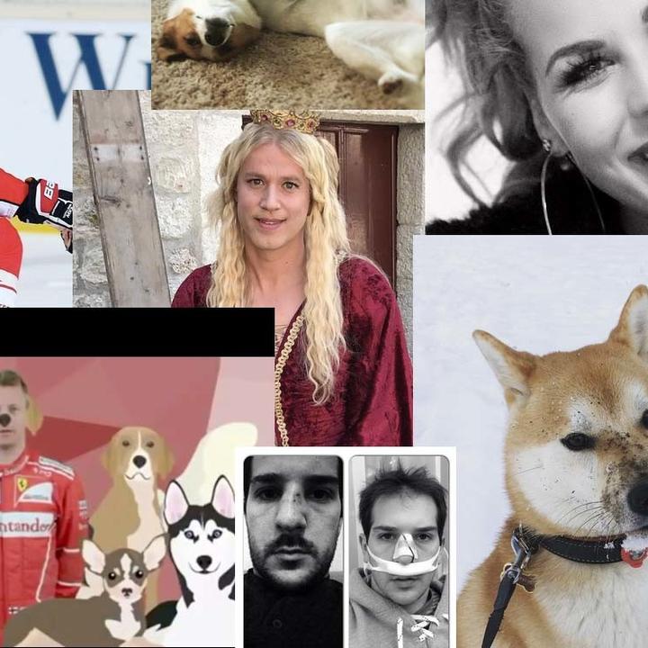 Wir präsentieren: Die aufregendsten Zuger Instagram-Profile
