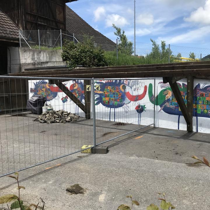 Schiavo-Gemälde in Baar: Es ist Kunst, doch muss es weg
