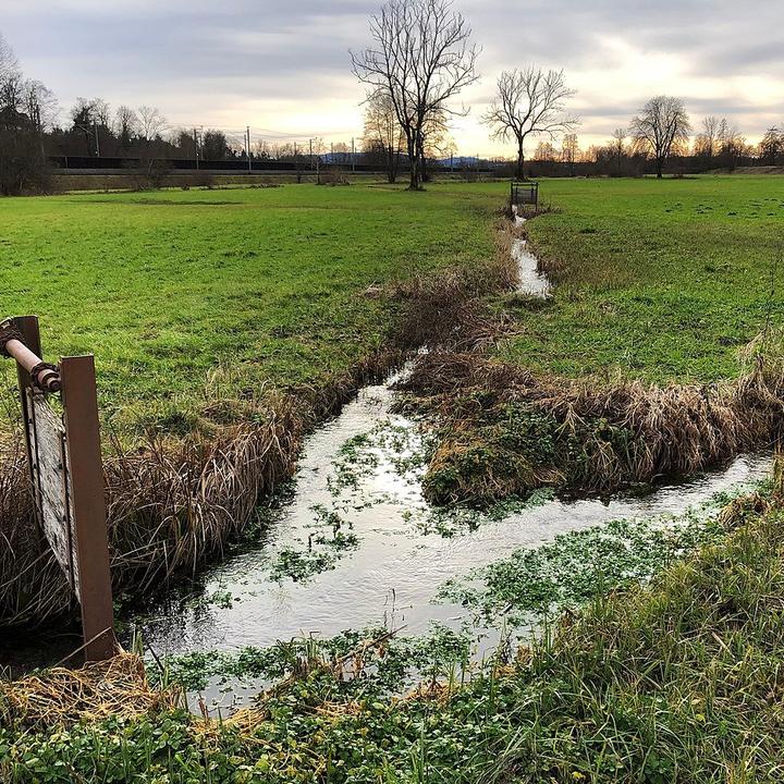 Unesco kürt Bewässerungstechnik aus Luzern und Bern